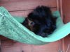 DSC01124.jpg