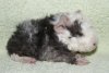 DSC01999-1.JPG