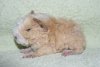 DSC02012-1.JPG