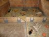 DSC01342.jpg