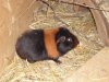 DSC01345.jpg