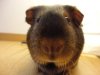 DSC01120.jpg
