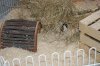 DSC_0015.jpg