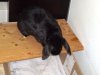 DSC00030.JPG