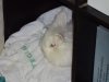 DSC00031.JPG
