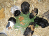 Gruppe-vorne.gif