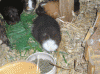 Gruppe-hinten-links.gif