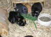 Gruppe-hinten.gif