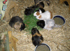 Gruppe-vorne-2.gif