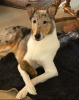 Screenshot_2019-10-09-22-34-55-1.png