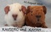 X-Babys 22.8.20 H.jpg