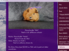 570AF539-80BD-4391-85C3-968123B2D673.png