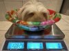 IMG_8177.jpeg