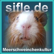 Sifle