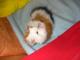 Manu_82