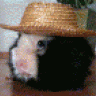 speedy