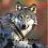 wolfin