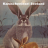 Kanincheninsel