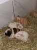 Babys31.8.21c.jpg