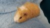 Baby1b3w.jpg