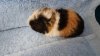 Baby4b3w.jpg