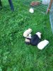 Babys23.9.jpg