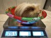 IMG_3235.jpeg