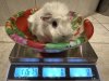 IMG_7174.jpeg