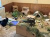IMG_7238.jpeg