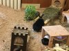 IMG_7235.jpeg