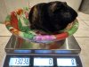 IMG_7454.jpeg